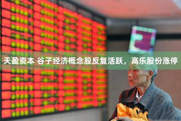 天盈资本 谷子经济概念股反复活跃，高乐股份涨停