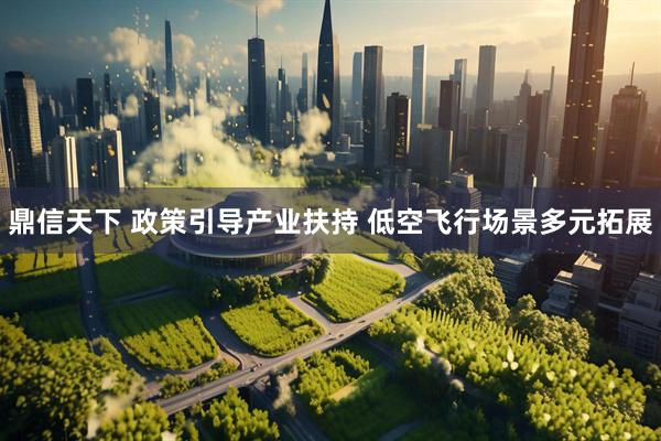 鼎信天下 政策引导产业扶持 低空飞行场景多元拓展