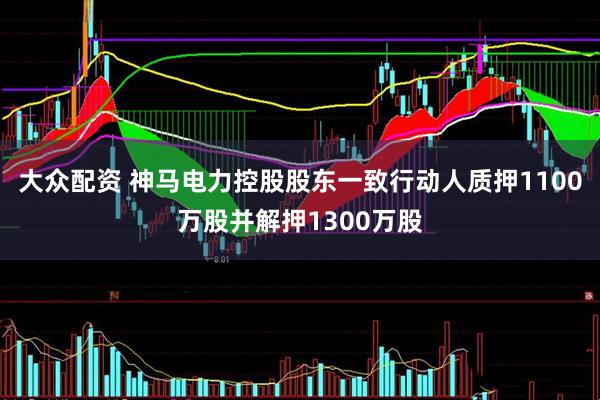 大众配资 神马电力控股股东一致行动人质押1100万股并解押1300万股