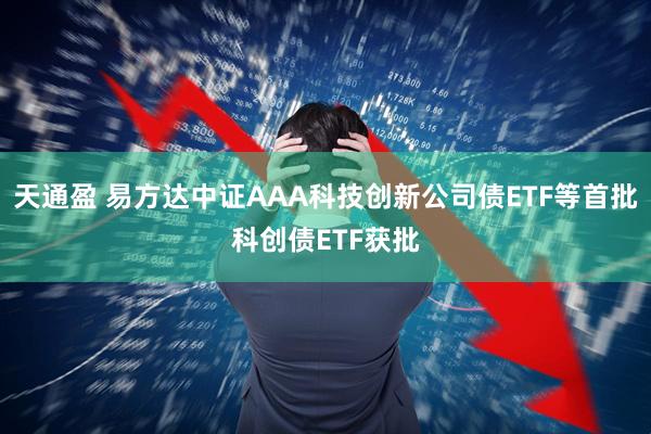 天通盈 易方达中证AAA科技创新公司债ETF等首批科创债ETF获批