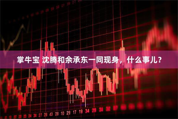 掌牛宝 沈腾和余承东一同现身，什么事儿？