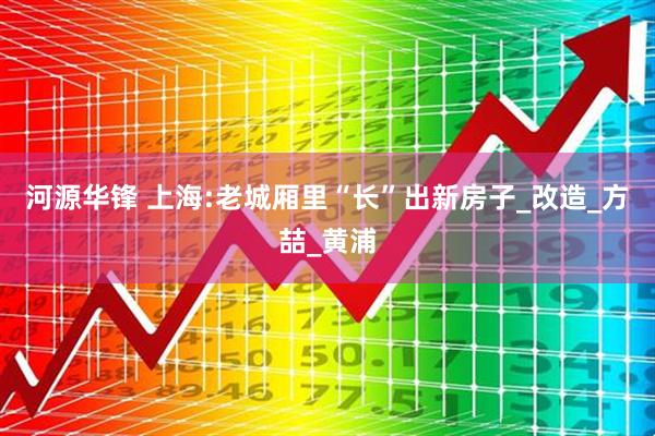 河源华锋 上海:老城厢里“长”出新房子_改造_方喆_黄浦
