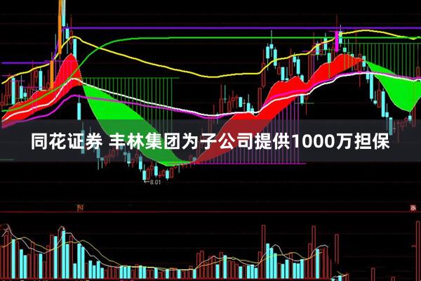 同花证券 丰林集团为子公司提供1000万担保