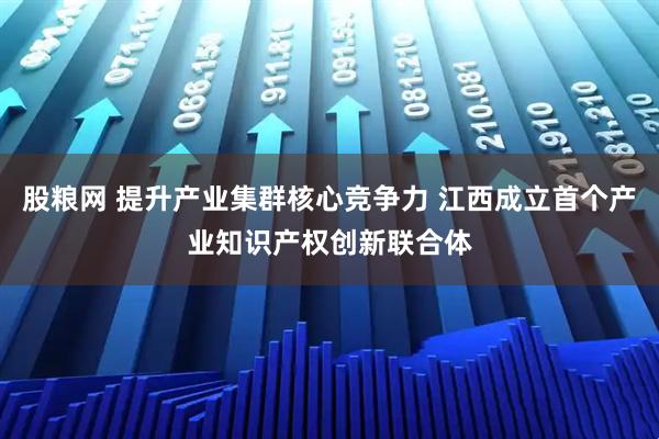 股粮网 提升产业集群核心竞争力 江西成立首个产业知识产权创新联合体